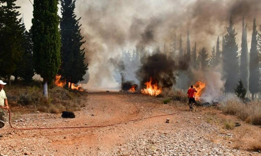 Φωτιές: Δεύτερη νύχτα μάχης με τις φλόγες στην Αχαϊα – Έχει συλληφθεί ύποπτος για εμπρησμό